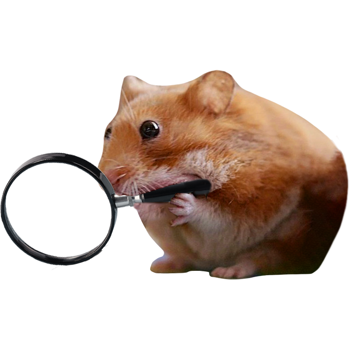 Nomnom the Hungry Hamster